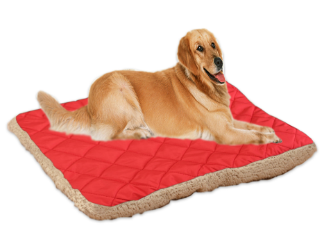 Pet Ice Silk Cushion