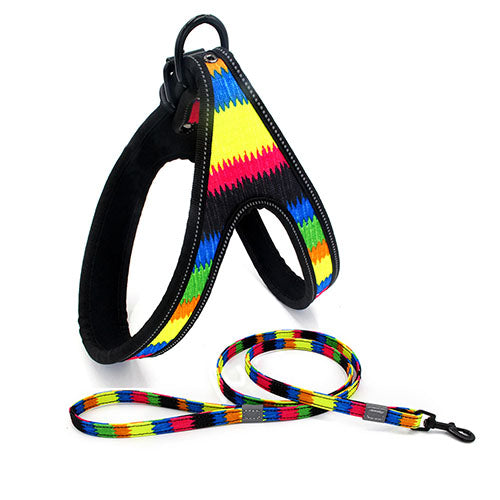 Colorful Dog Walking Harness And Leash