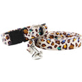 Dog Collar Traction Rope Collar Torn Neck Collar