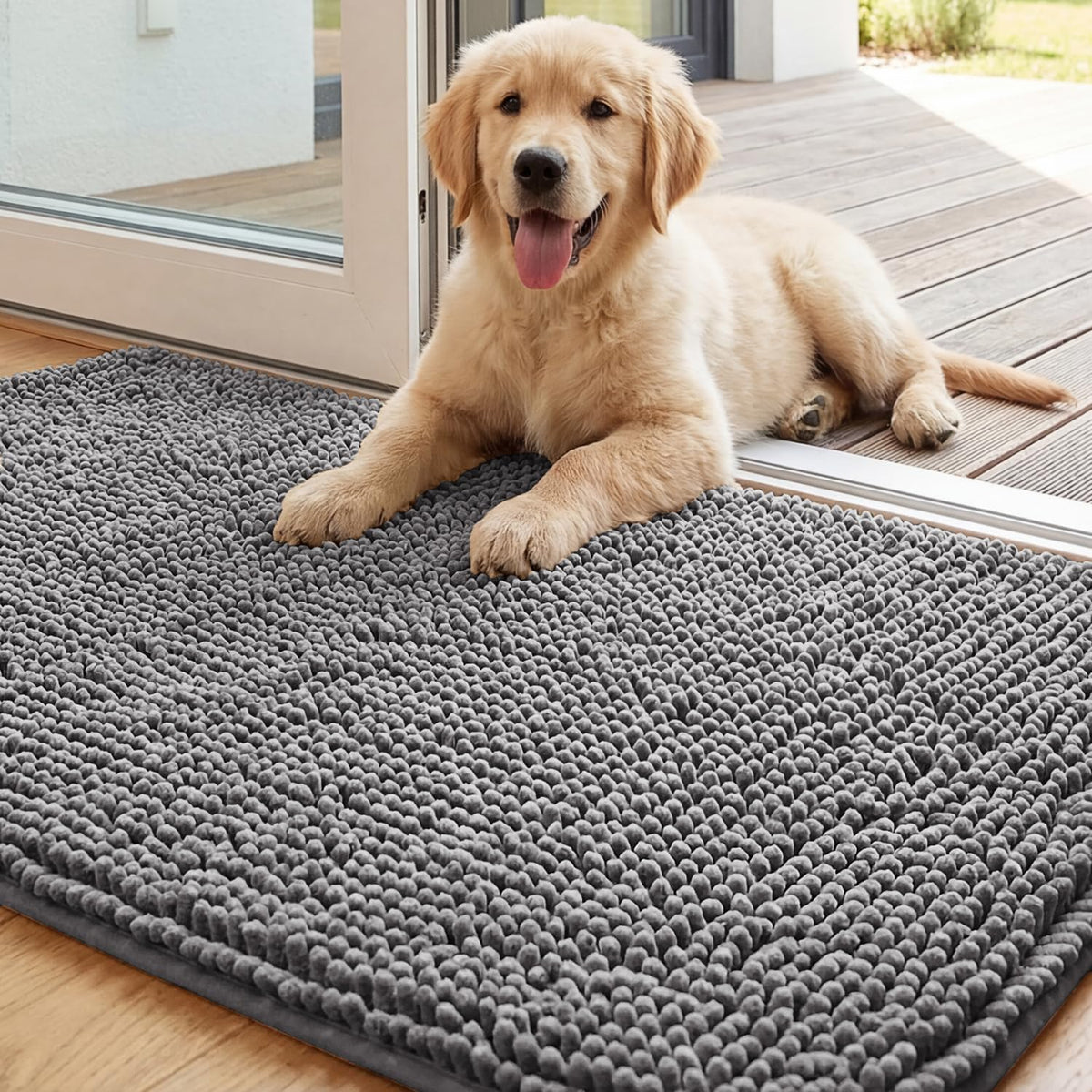 Dog Door Mat For Muddy Paws 30X20, Absorbs Moisture And Dirt Doormat, Non-Slip Washable Quick Dry Chenille Front Door Mat Indoor Entrance, E