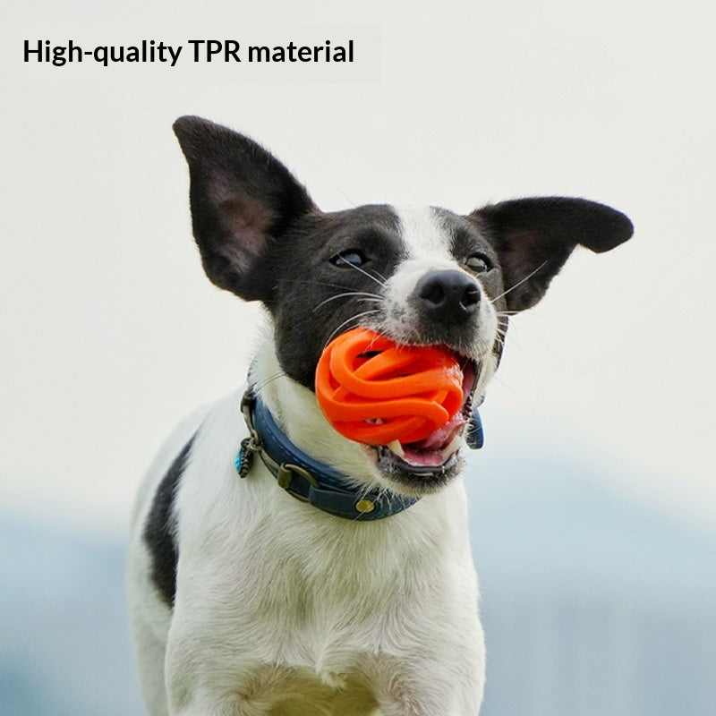 Elastic Chew-Resistant Outdoor Dog Toy