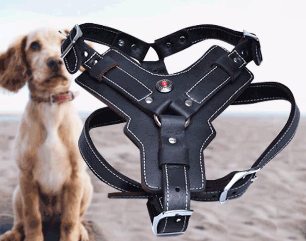 Oil Leather Dog Harness