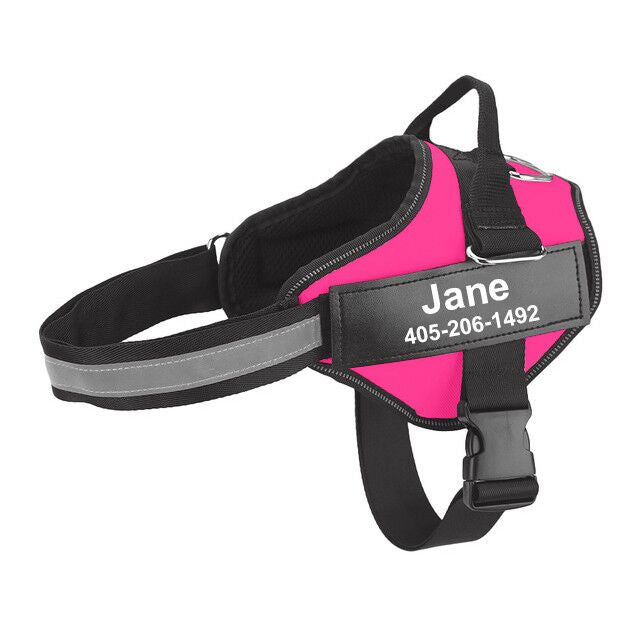 Multicolor Personalized Pet Chest Strap