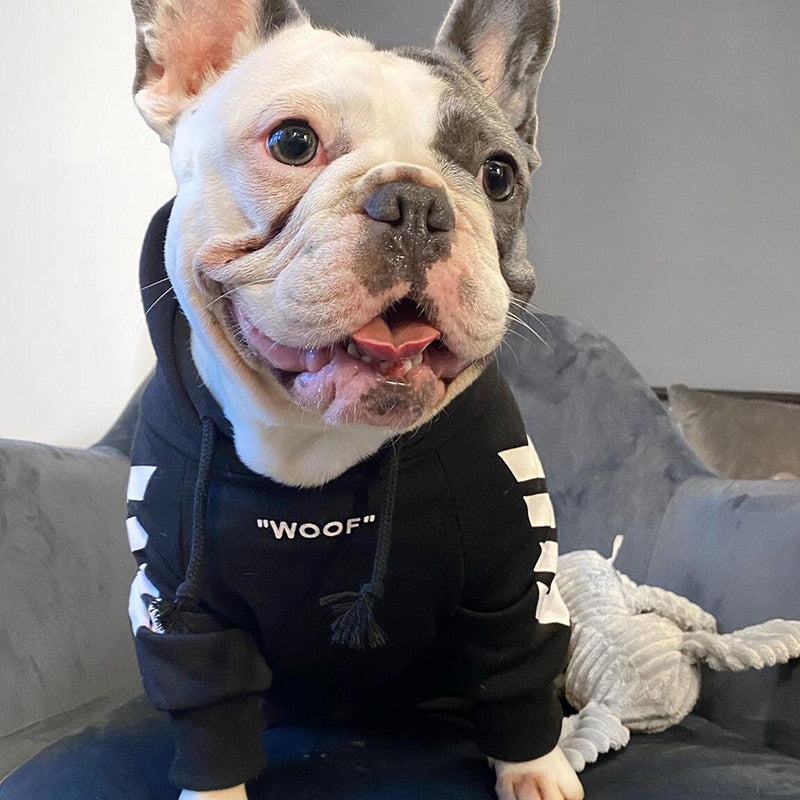 Winter Dog Jacket With Hood