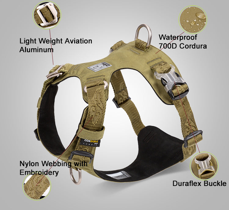 Lightweight Outdoor Dog Walking Harness