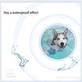 Pet Invisible Foot Patch Non-Slip Dog Insole Summer