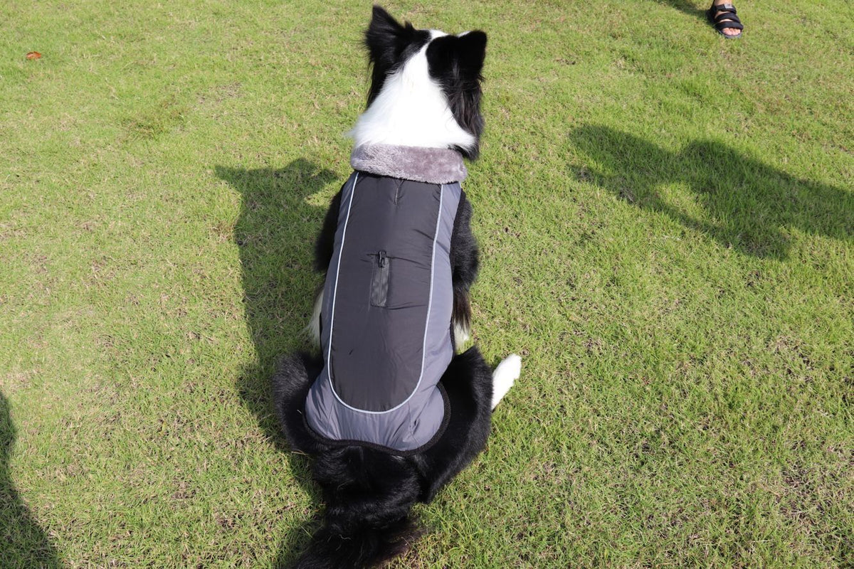 Thickened Dog Padded Reflective Coat
