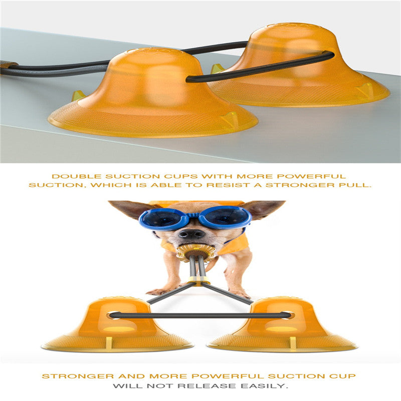 Dog Rubber Suction Cup Toy Set