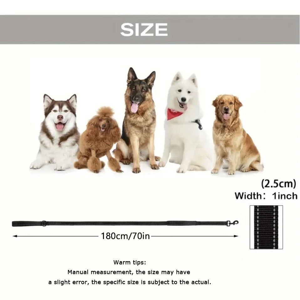 Reflective Nylon Leash for Medium to Large Dogs