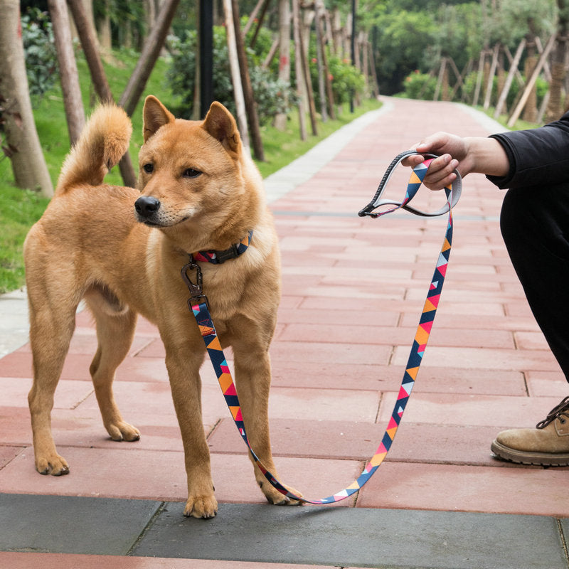 Polyester Dog Leash