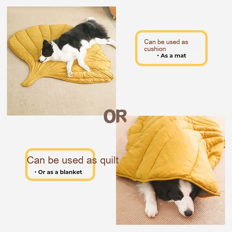 Universal Dog Mat for All Seasons