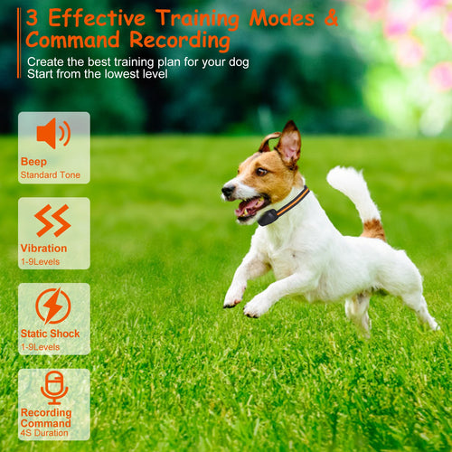 1Pc 984Ft Dog Training Collar Ip65 Waterproof Pet Beep Vibration Electric Shock Collar 3 Channels Rechargeable Transmitter Receiver Trainer