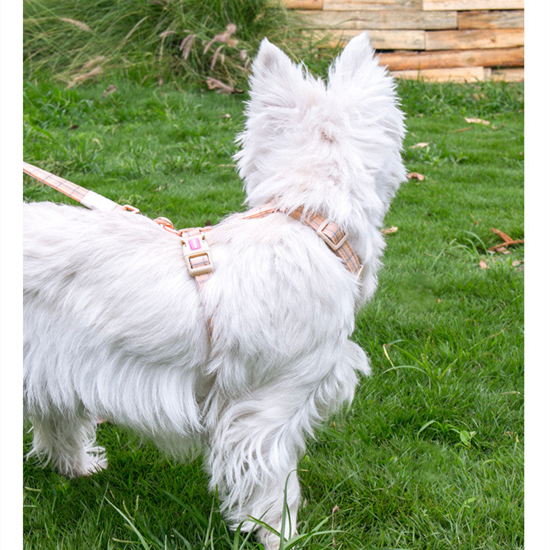 Fashionable And Simple Pet Chest Back Lattice Traction Rope
