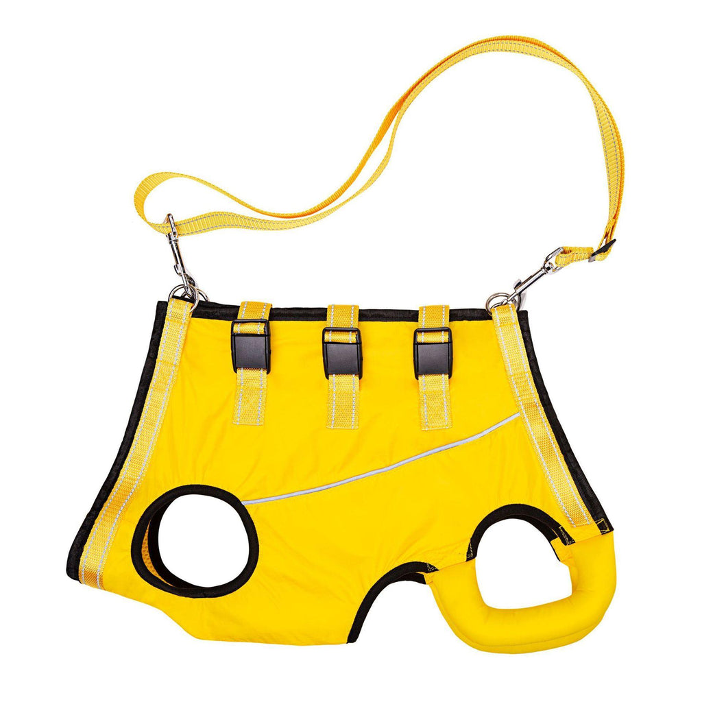 Elderly And Disabled Dogs Auxiliary Belt Auxiliary Clothing