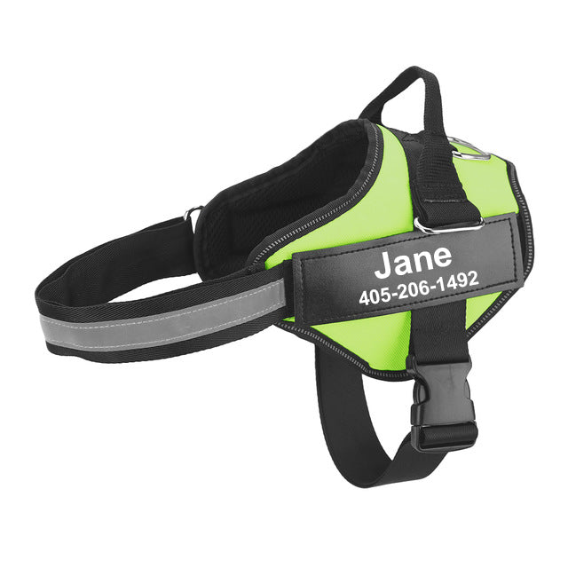 Multicolor Personalized Pet Chest Strap