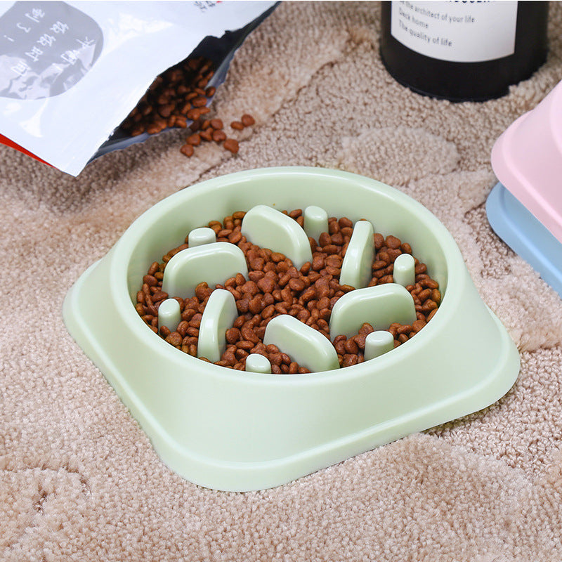 Slow Food Pet Bowl