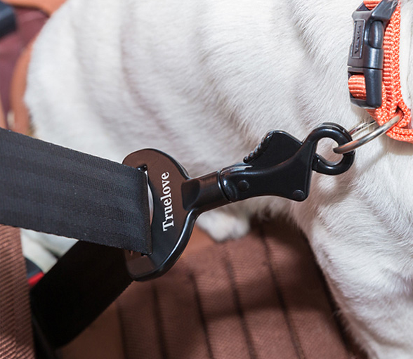 Pet Car Safety Buckle Holder
