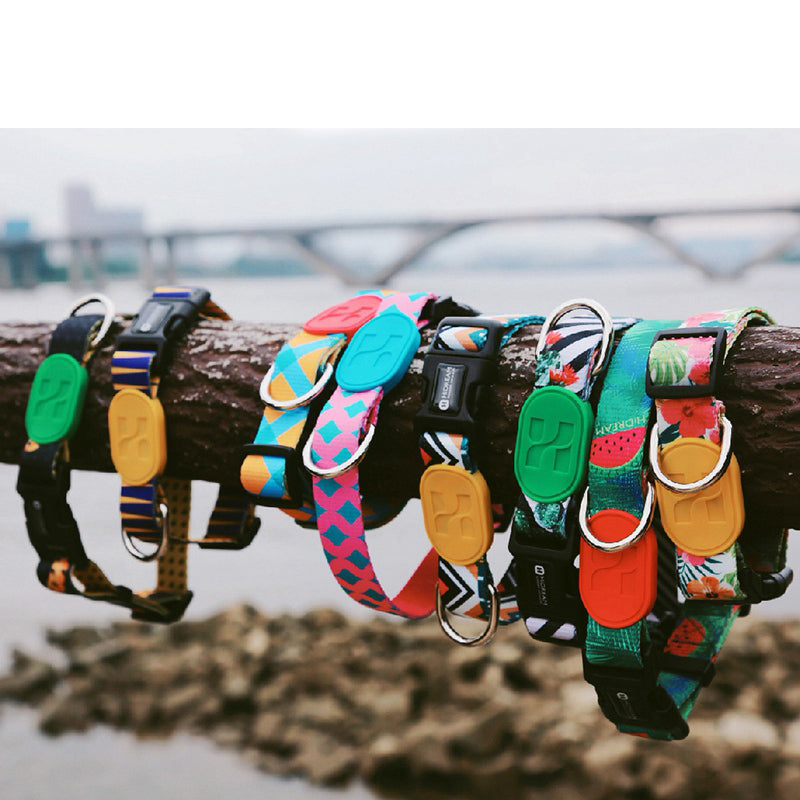 Pet Dog Collar