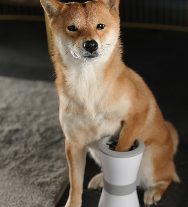 Electric Pet Foot Washing Cup