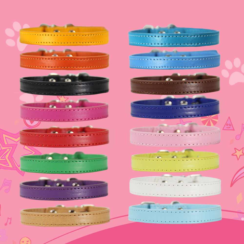 Large Dog Leash Pet Collar