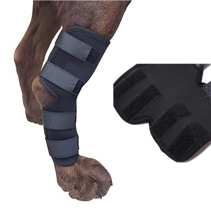 Dog Leg Brace Support
