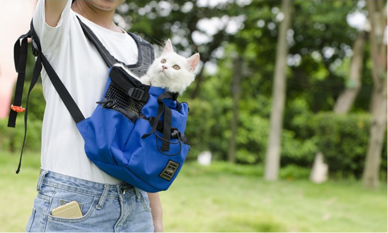 Ventilated Breathable Pet Travel Backpack