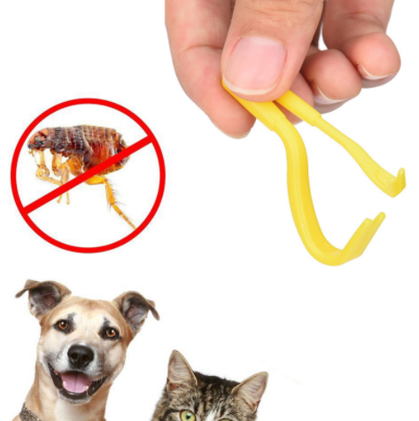 Pet Flea And Louse Comb