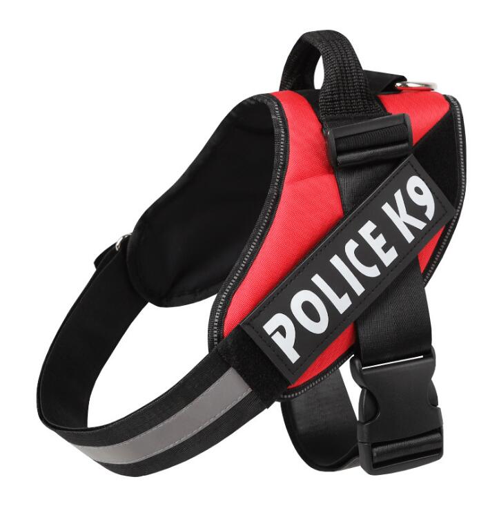 Polyester Dog Leash