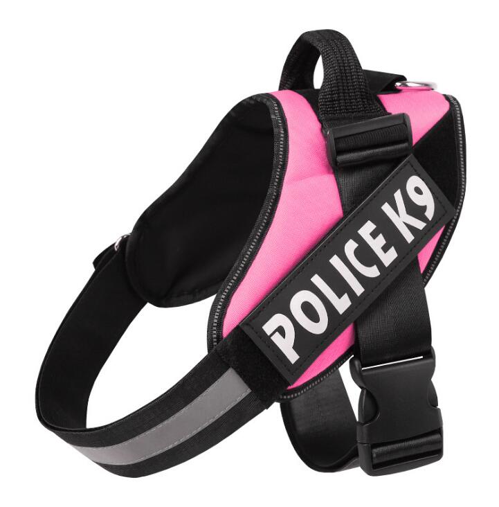 Polyester Dog Leash