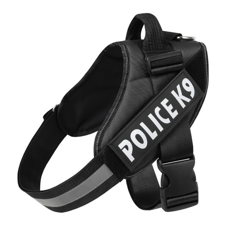 Polyester Dog Leash