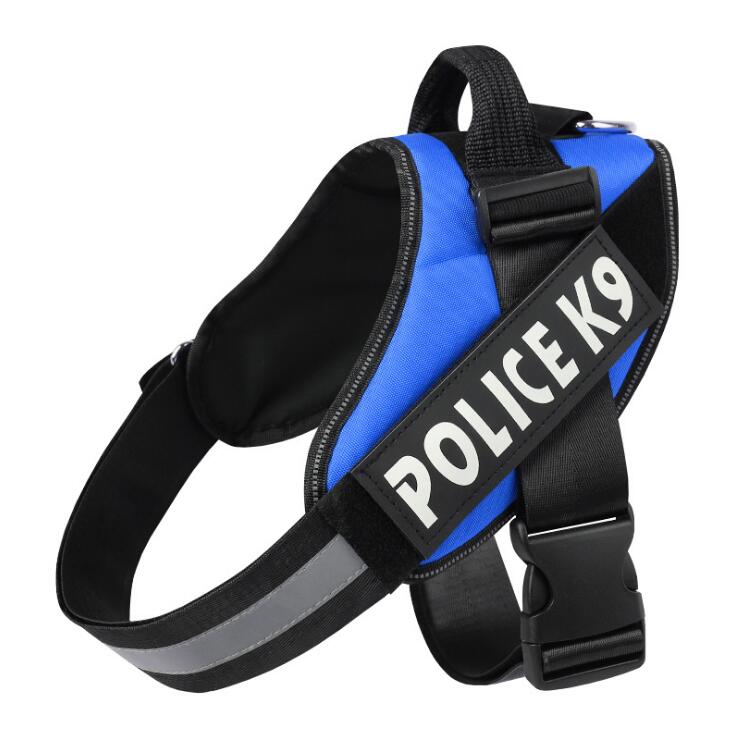 Polyester Dog Leash