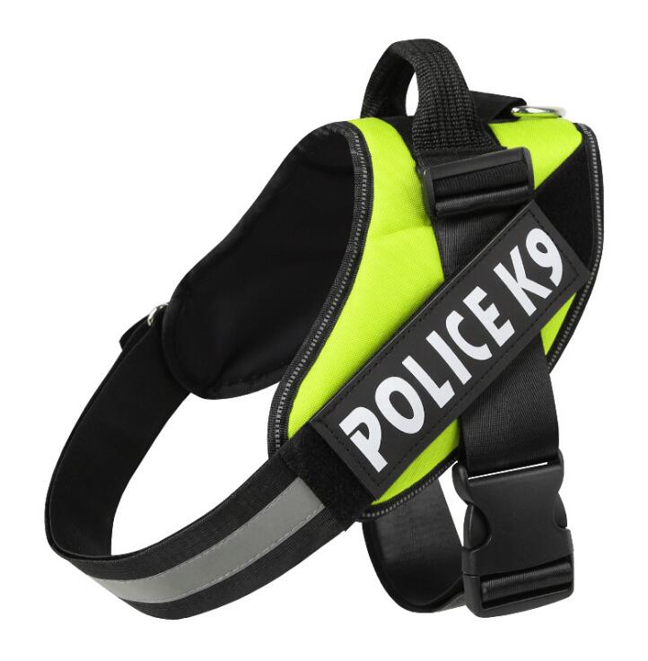Polyester Dog Leash