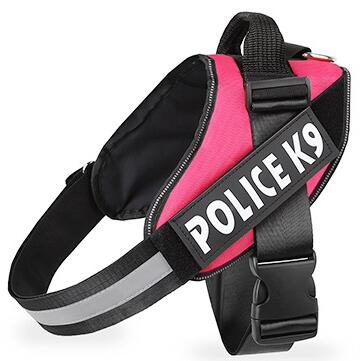 Polyester Dog Leash