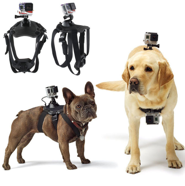 Dog Strap Belt Harness