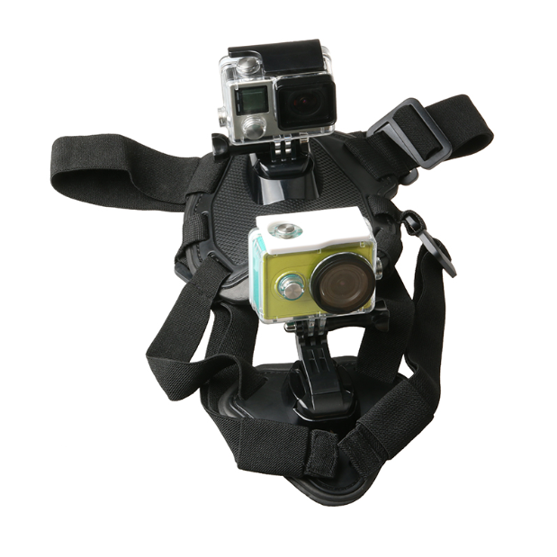 Dog Strap Belt Harness