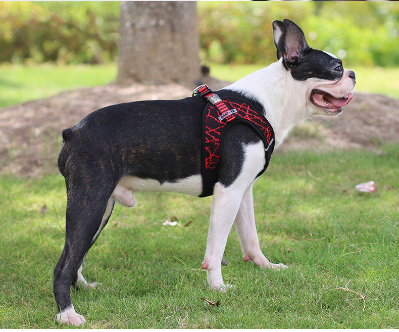 Pet Chest Harness And Leash