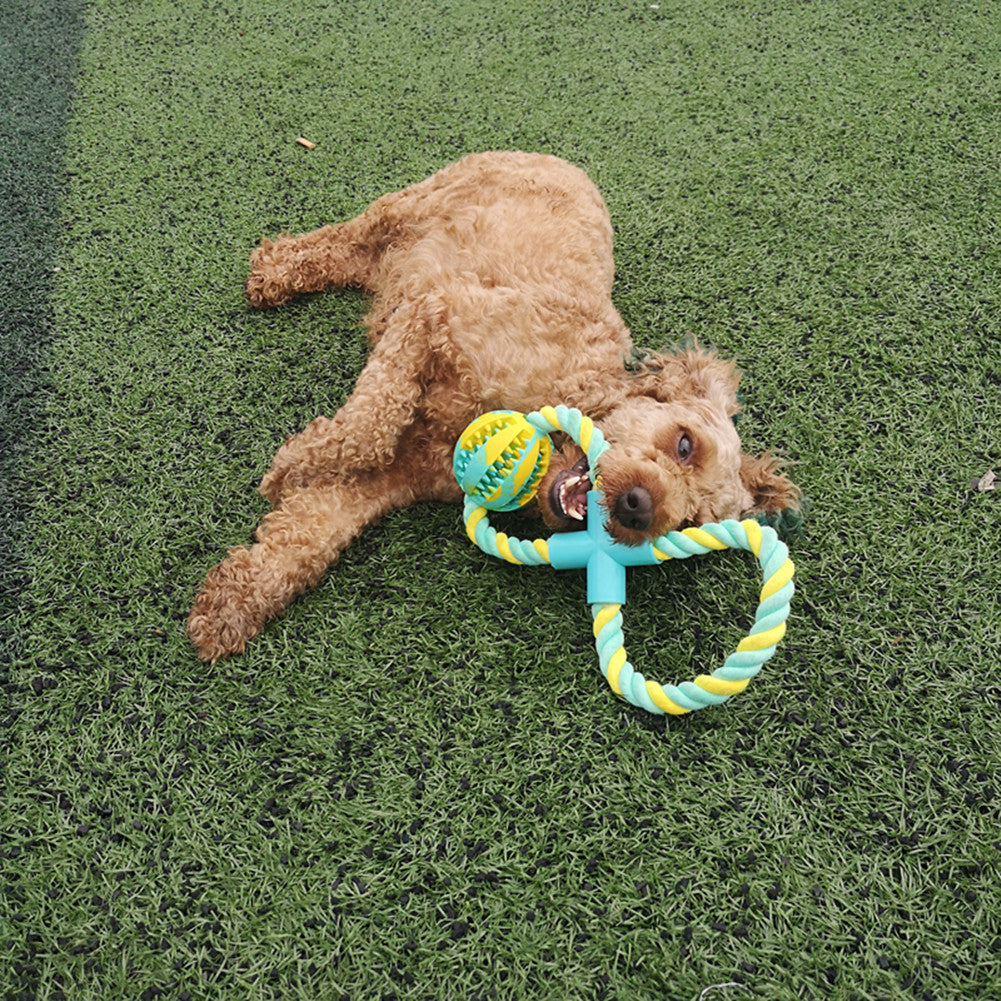 Stuffed With Snacks Leaking Food Bite-Resistant Rubber Dog Toy