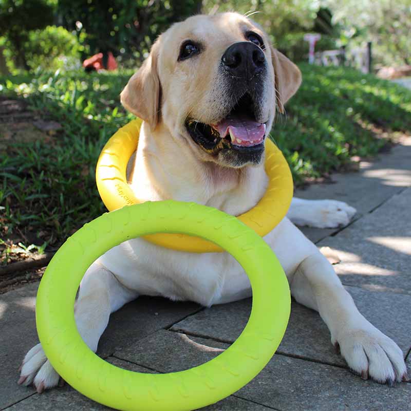 Pet Toy Bite Resistant Puppy Molar Interaction Ring