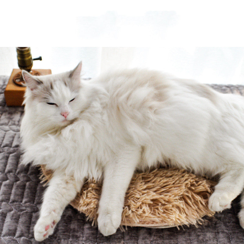 Thermostatic Waterproof Pet Electric Blanket