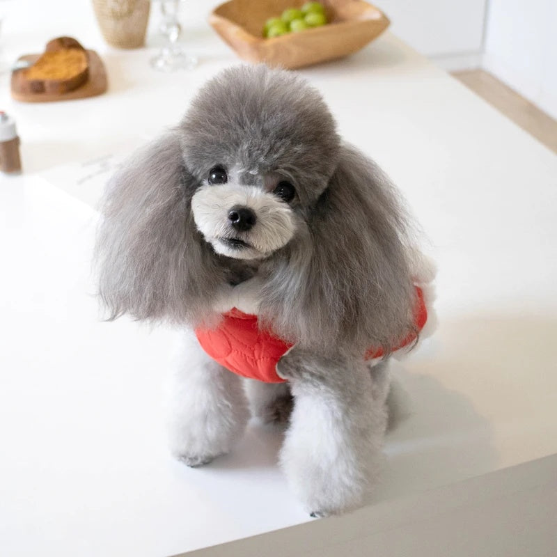 Red Chinese Knot Pet New Year Clothes