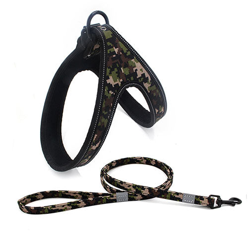 Colorful Dog Walking Harness And Leash