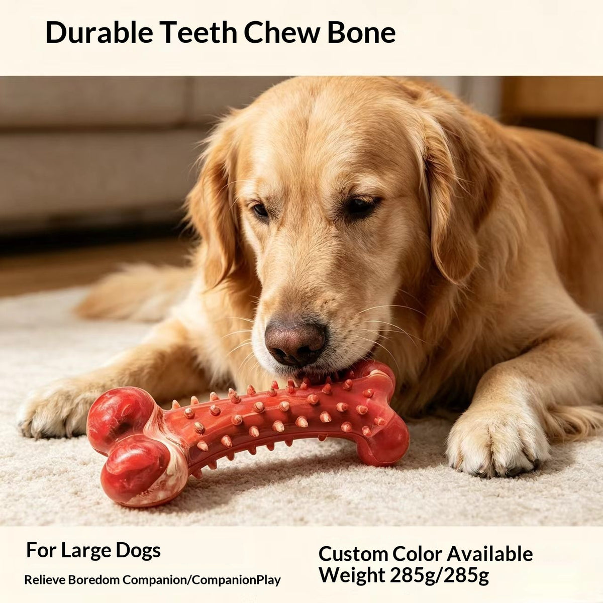 Large Rubber Toothbrush Bone Chew Toy