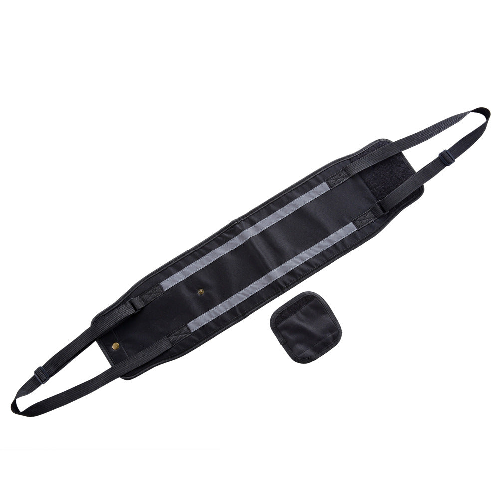 Dog Carrier With Pet-Handling Handle and Auxiliary Leash