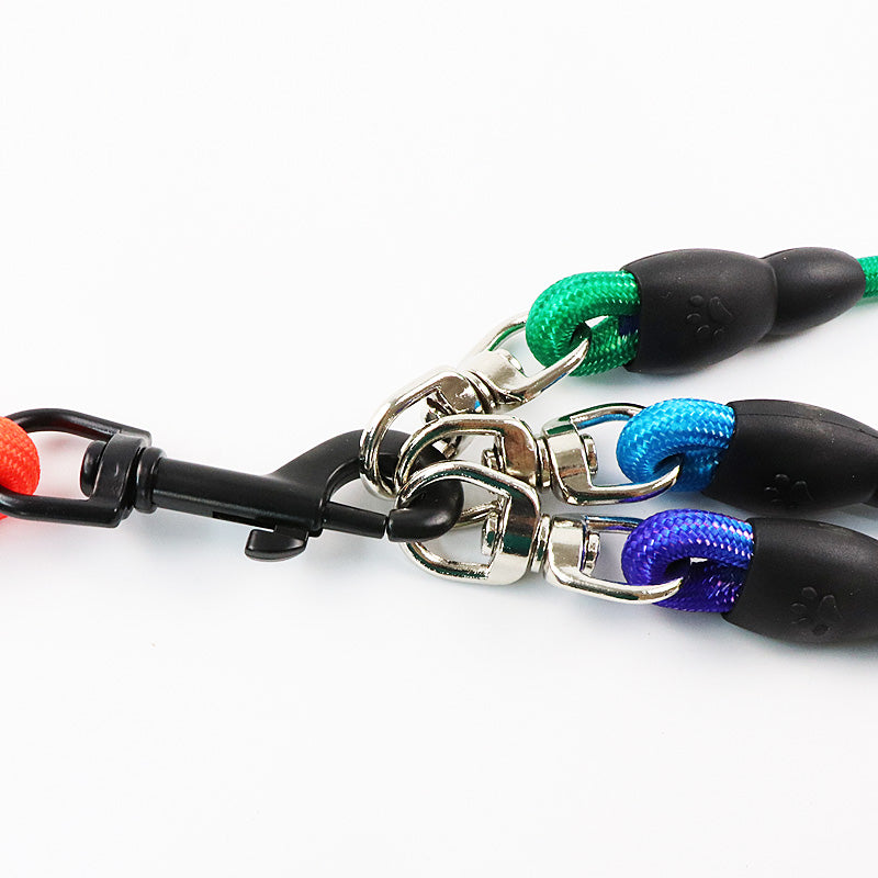 One Leash for Three Dogs
