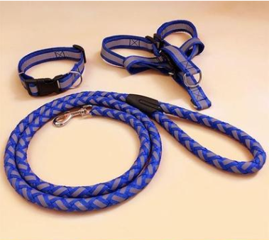 Pet Dog Leash
