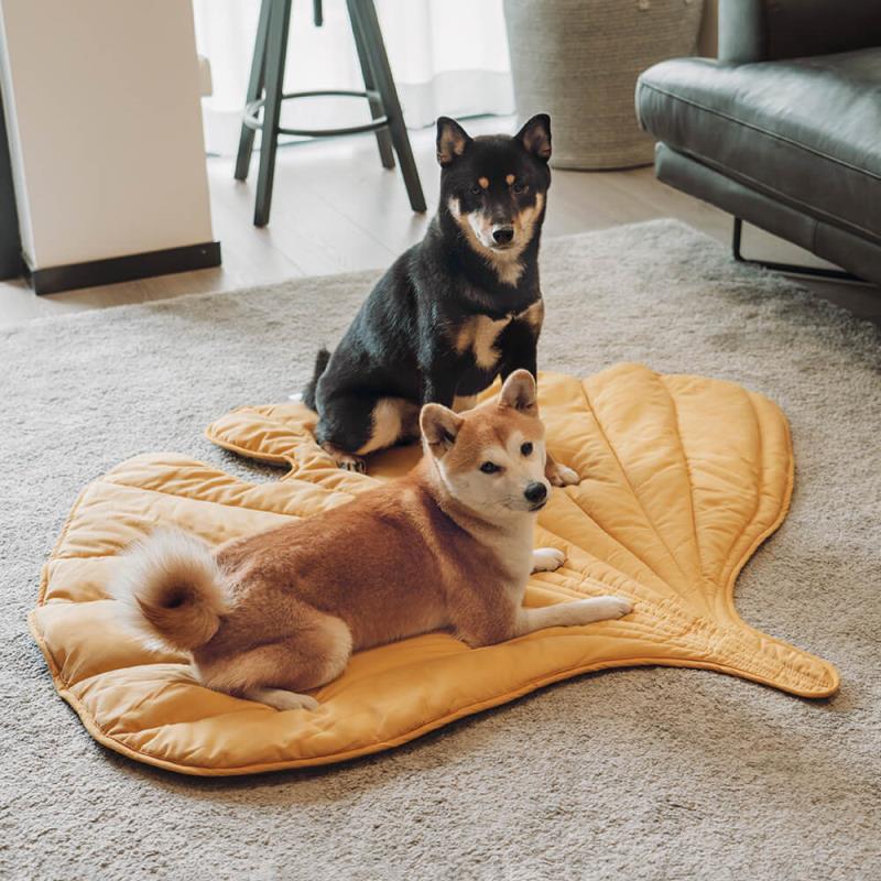 Universal Dog Mat for All Seasons