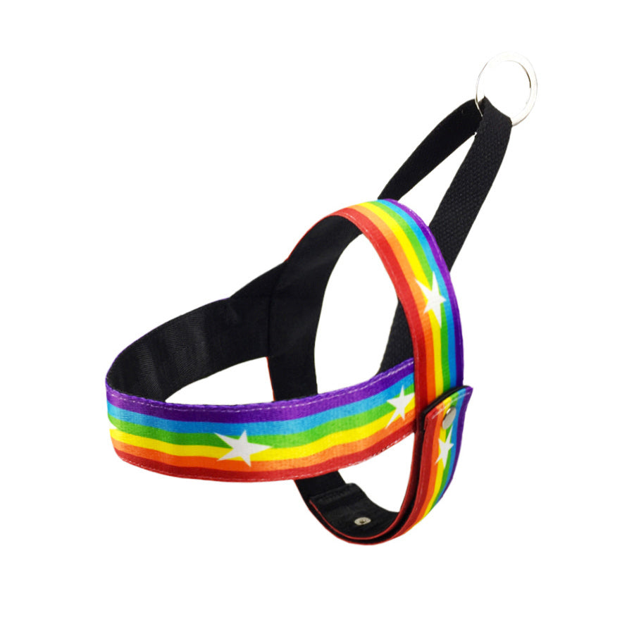 Rainbow Dog Chain Leash