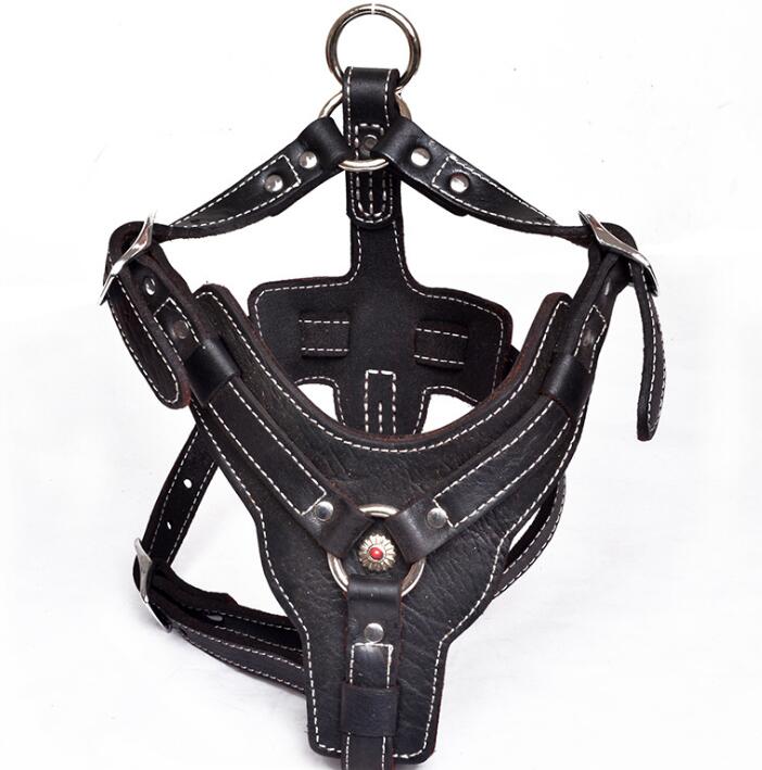 Oil Leather Dog Harness