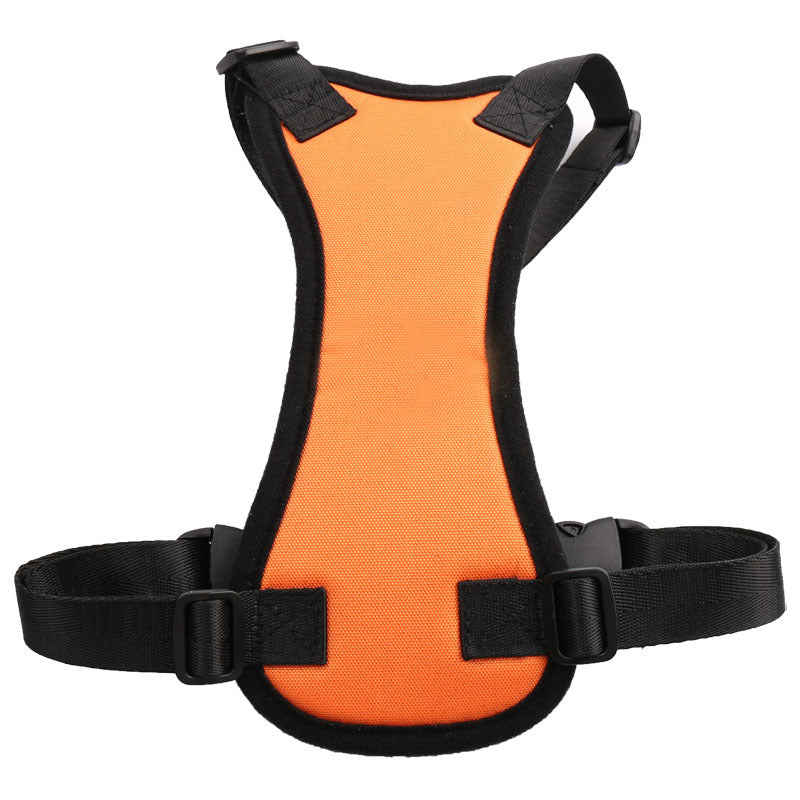 Car Seat Belts for Pets