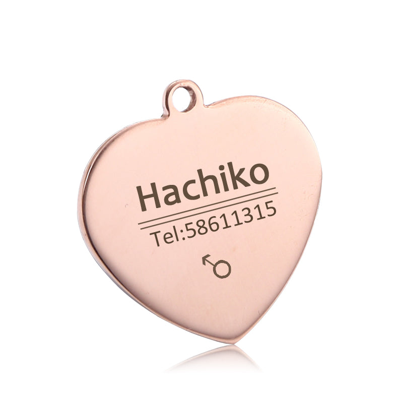 Engraved Pet ID Tag